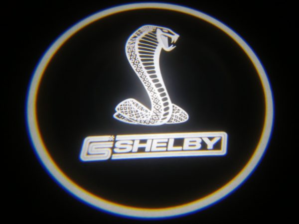 Lumenz CL3 Shelby LED Courtesy Lights – 100556